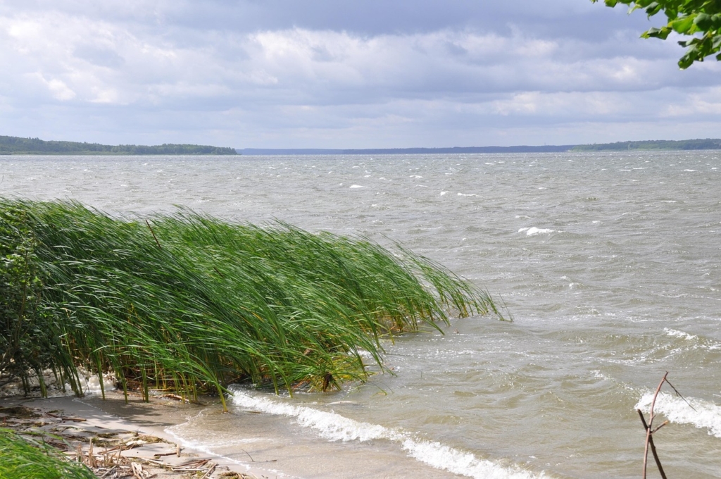 Stürmisches Wetter mit kleinen Wellen am Plauer See